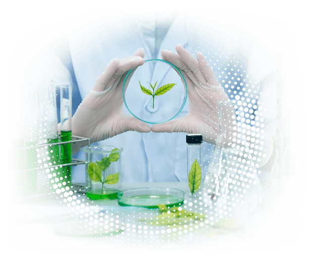 02-chi-siamo-purytra